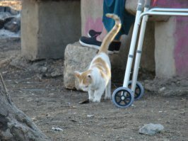 Тавор, церковь Преображения