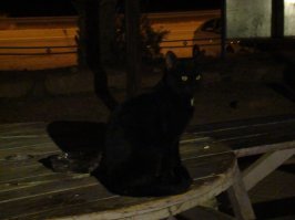 Неот Смадар