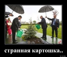А люди поливающие в дождь, не странные?