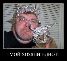 Когда хозяин слегка идиот