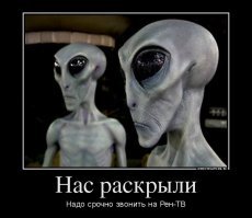 15 фотодоказательств: коты-инопланетяне давно среди нас