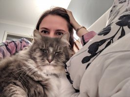 Обожаю своего кота!