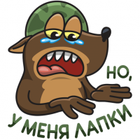 Прикольные и смешные картинки