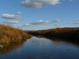 А мне тундра нравится, там красиво. Эти фото, как раз с Воркуты.