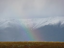 А мне тундра нравится, там красиво. Эти фото, как раз с Воркуты.