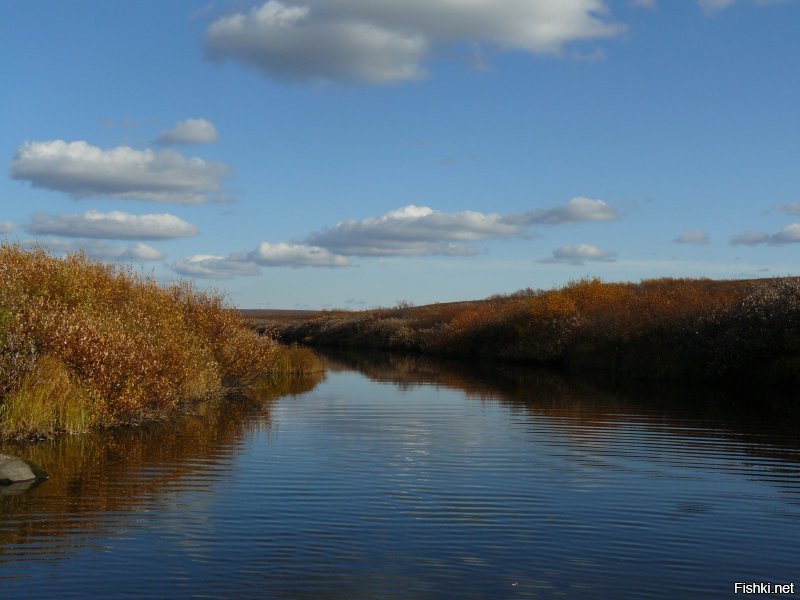 А мне тундра нравится, там красиво. Эти фото, как раз с Воркуты.