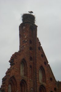 Пригород Калининграда