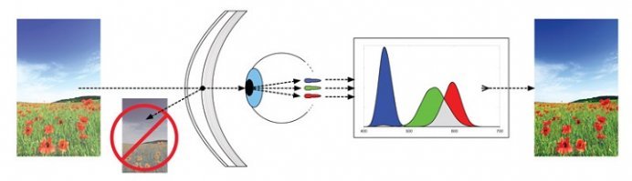 Очки EnChroma. Попросту говоря, фильтруют "смежные" спектры, которые путают фоторецепторы некоторых людей.