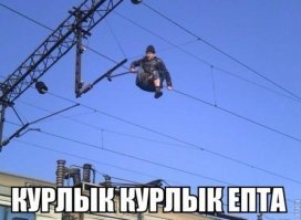 как он туза залез и остался живым!