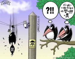 как он туза залез и остался живым!