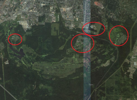 А в этих местах с поселками тоже короед?