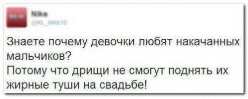 В шутку и всерьез о лишнем весе и диете