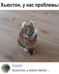 Намешалось