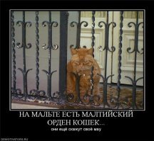 Они все помнят ....  возмездие неизбежно