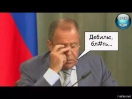 Собачку усыпили ради того, чтобы похоронить с хозяйкой