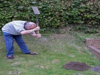 Какого размера нору способен вырыть крот?