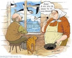 Прикольные и смешные картинки