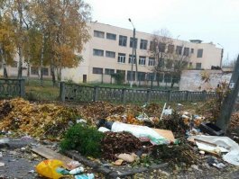 У нас тоже! Ну, почти...