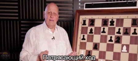 Таким вот нехитрым способом автор причислил мусульман и евреев к животным.