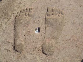 Упитанный малыш, и все еще растет и стабильно по килограмму в год вес набирает 
А это следы его папы: