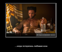 Ничего необычного, просто росомаха идет по своим делам с головой козы