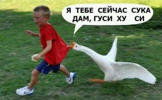 40 надписей на асфальте, которые бескомпромиссны, как жизнь в России