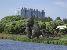 >Он сюда каждый день попить приходит!
---