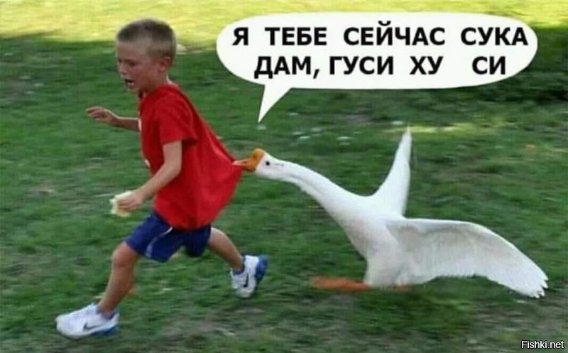40 надписей на асфальте, которые бескомпромиссны, как жизнь в России