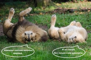 Карма настигла