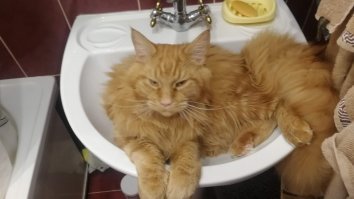 Мой кадр) 7 месяцев.