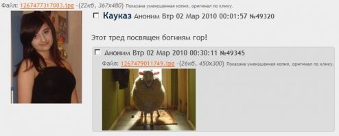 Прикольные фотографии, смешных картинок собранной со всего интернета