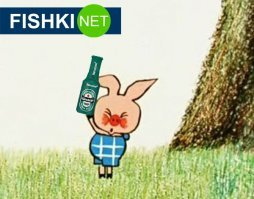 Похоже с пива перешли на что-то потяжелее.