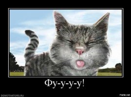 Герой спас жизнь 8-летней девочке, объехав пробку на своём мотоцикле