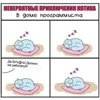 Прикольные и смешные картинки