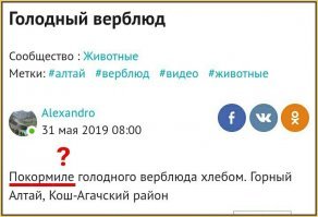 покормилЕ ?