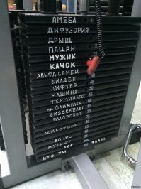 Когда прокачался до 80-го уровня