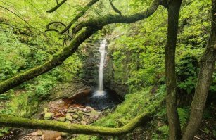 В России есть уникальный лиановый субтропический лес.Единственный в России.Самый северный субтропический лес на планете.Это Самурский лес,и находиться он на самом юге страны,в Южном Дагестане.Но скоро мы можем его лишиться.Питает лес,река Самур.Уже много лет власти продают часть воды соседнему Азербайджану.Это негативно сказывается на природе уникального леса.Экологи и простые люди бьют тревогу,и просят власти обратить внимание на проблему.И они обратили.Начали строить канал,который разделит реку ,чтобы еще больше воды шло в Азербайджан.Это окончательно убьет заповедник.Люди периодически выходят на протесты,но по центральным каналам этого не показывают.Наиболее активных выступающих задерживает полиция.Держат несколько суток,выписывают огромные штрафы,чтобы другим неповадно было.Кроме того,лес продают под дачи для богачей.Вырубаются уникальные многолетние деревья.Но всем плевать.Бабло рулит.А люди в конце концов сдадутся,и сдадут то что еще осталось.Нет у людей сил сопротивляться власти,и их полицаям.