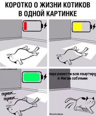 Злой сарказм