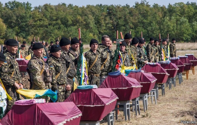 Вот они "плоды" майдана...