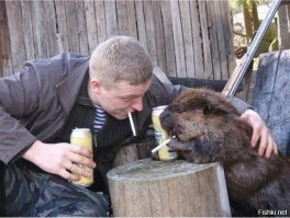С котом...