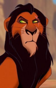 Почему у льва есть грива, а у львицы – нет?