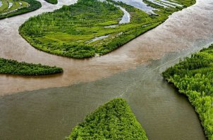 Какая прекрасная, ухоженная европейская страна! Не то, что "сраная рашка"! Да, тут недавно пост пробегал про уникальную 2хцветную грузинскую речку... Река Амгунь. Район имени Полины Осипенко. Хабаровский край. Так что спасибо, джоржия, но: нет.
