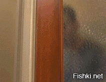 Невероятные кадры без фотошопа