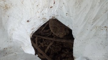 Вот тебе фотки еще,с того дня