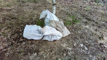 Вот тебе фотки еще,с того дня