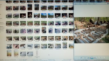 скушал,старичок ?