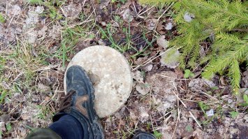 Держи сфинктер крепче,дедуль.от тех,кто случайно и один раз )))