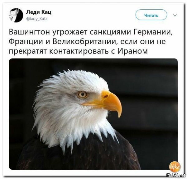 Политические картинки