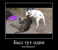Пятничная подборка смешных картинок