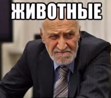 Кирилл "Руки-Базуки" получил хорошего леща от сурового бородача и отправился в нокдаун